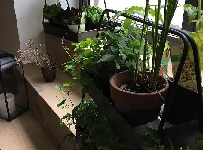 Faktorei Hotel Innsbruck